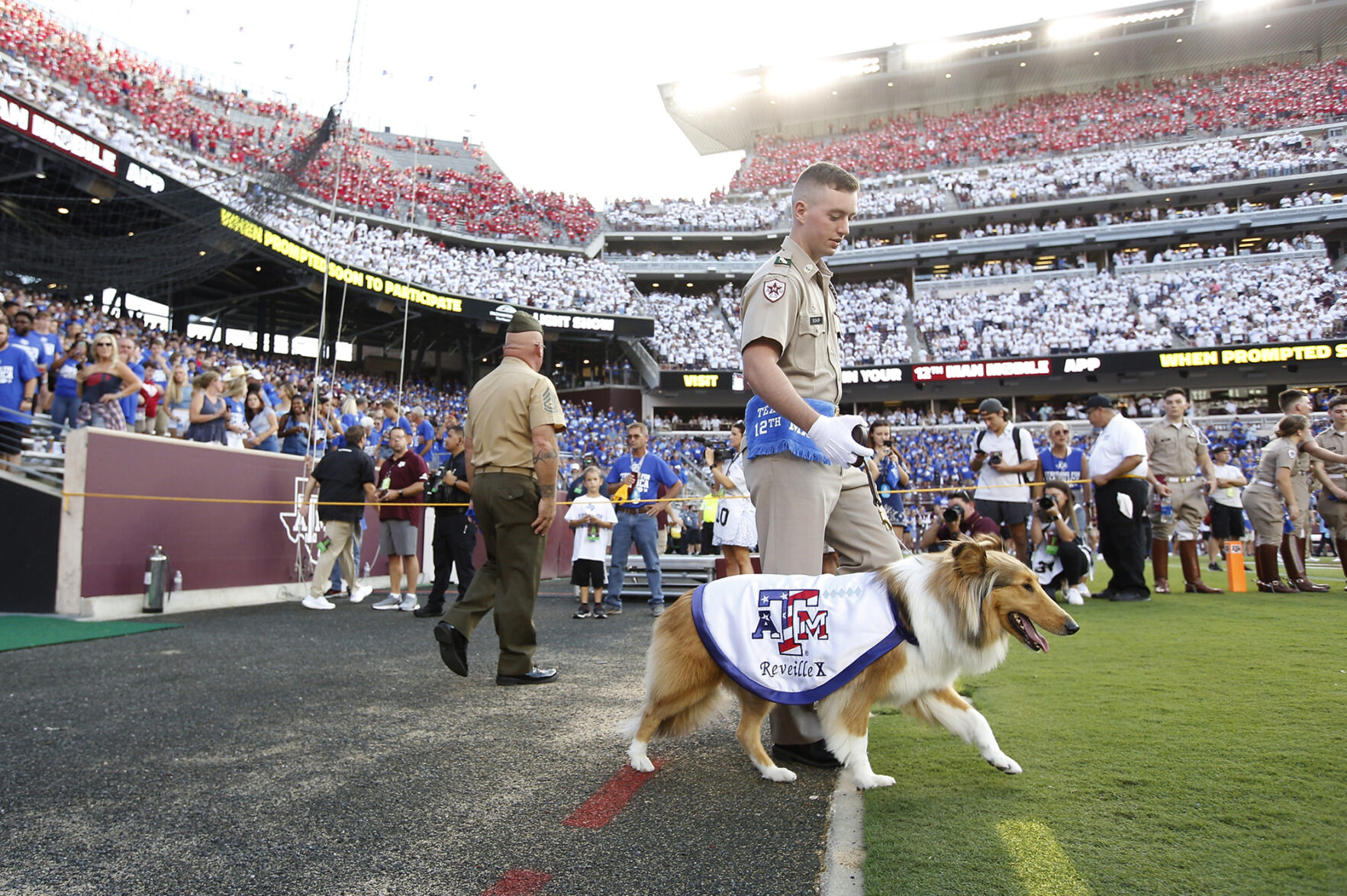 Reveille X